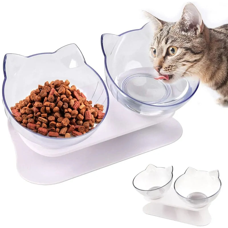 Cat feeding in pet supplies bowls