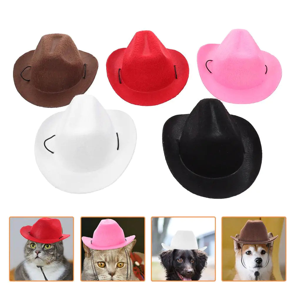 dog hats