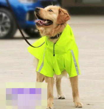 raincoat for dogs