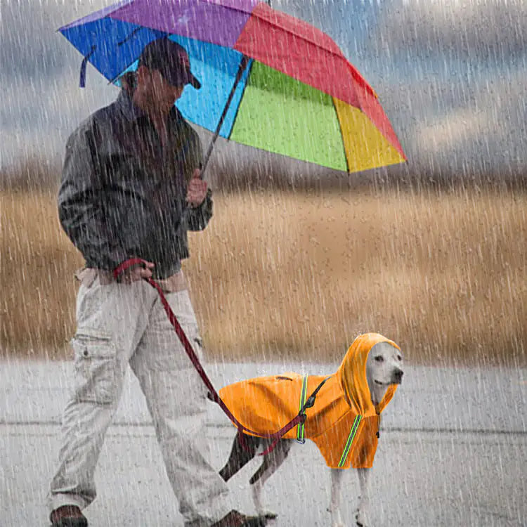 Spring And Summer Waterproof Dog Raincoat